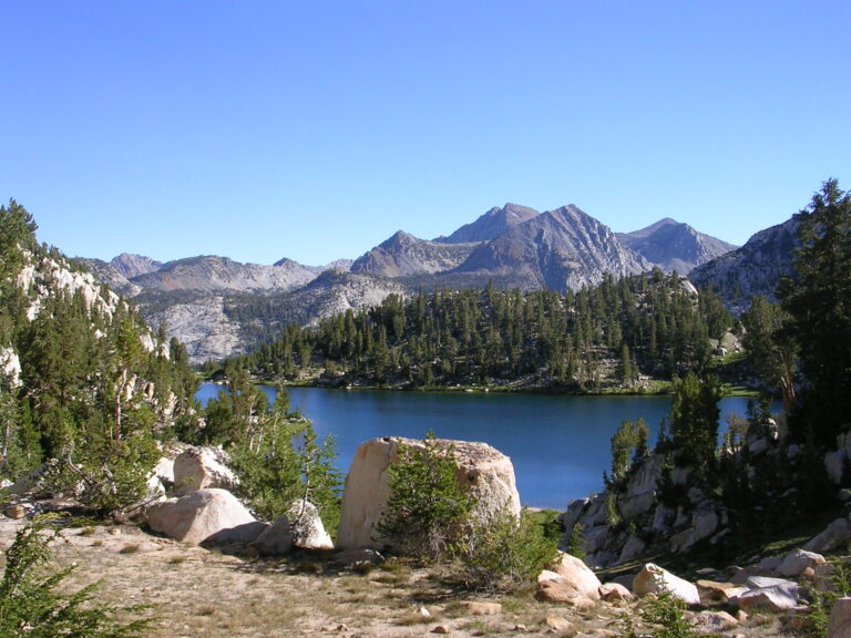 SIERRA N.F